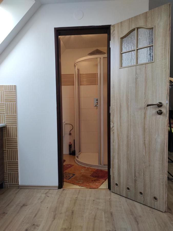 Apartman V Podkrovi Apartment โดบรุชกา ภายนอก รูปภาพ